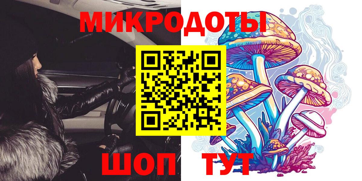Губкин  Псилоцибиновые грибы GOLDEN TEACHER  Вход с VPN 