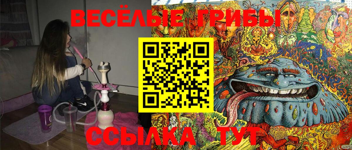  КОКАИН Губкин